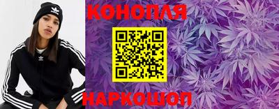 спайс Кинель