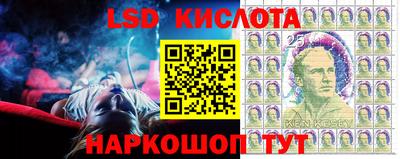 ПСИЛОЦИБИНОВЫЕ ГРИБЫ Кингисепп