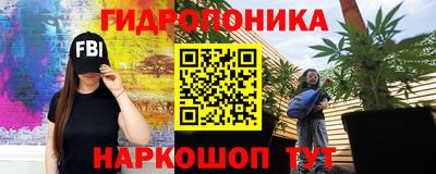 спайс Кинель