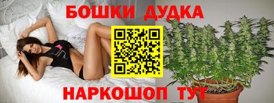 спайс Кинель