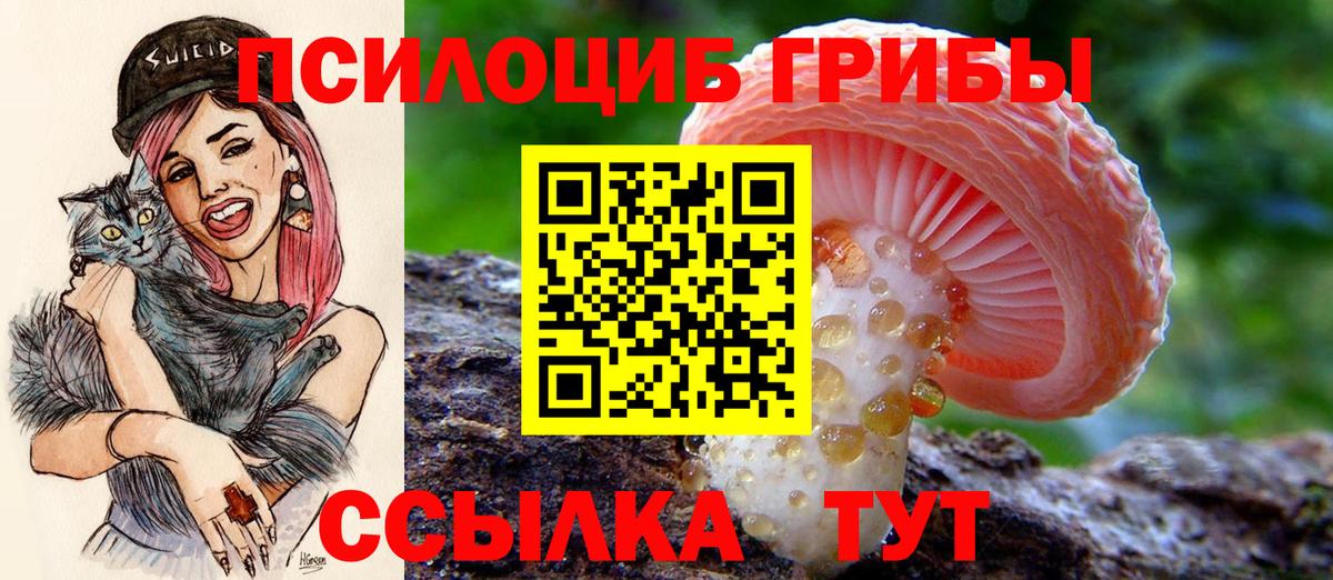 Псилоцибиновые грибы мухоморы Смоленск